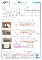 https://ku-ma.or.jp/spaceschool/report/2019/pipipiga-kai/index.php?q_num=46.23